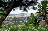 Madeira - Funchal