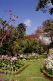 Madeira - Botanischer Garten