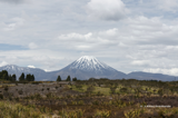 NZL- Mout Tongariro